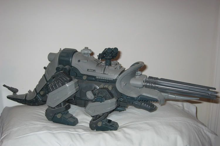 User Image